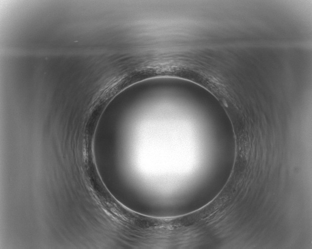 X0000061120740200511211000