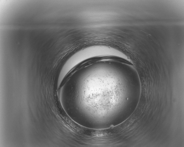 X0000061120746200511211000