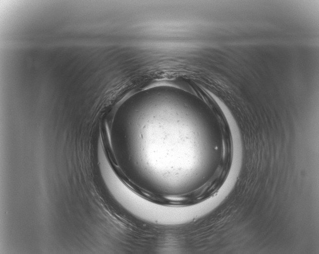 X0000061120748200511211000