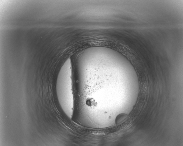 X0000061120749200511211000