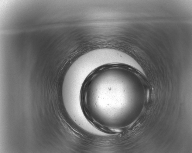 X0000061120752200511211000