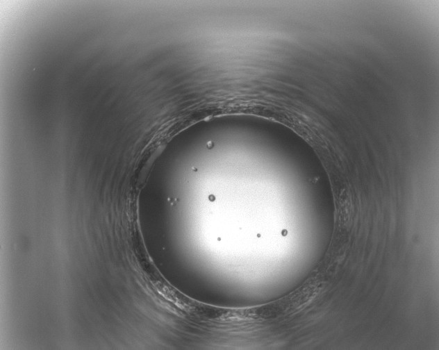 X0000061120756200511211000