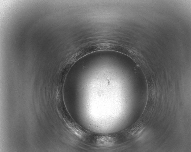 X0000061120759200511211000