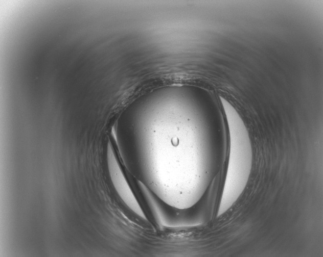 X0000061120760200511211000