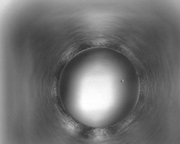 X0000061120762200511211000