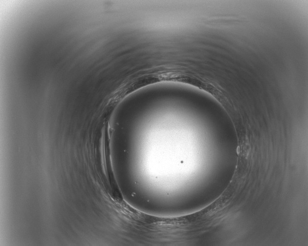 X0000061120763200511211000