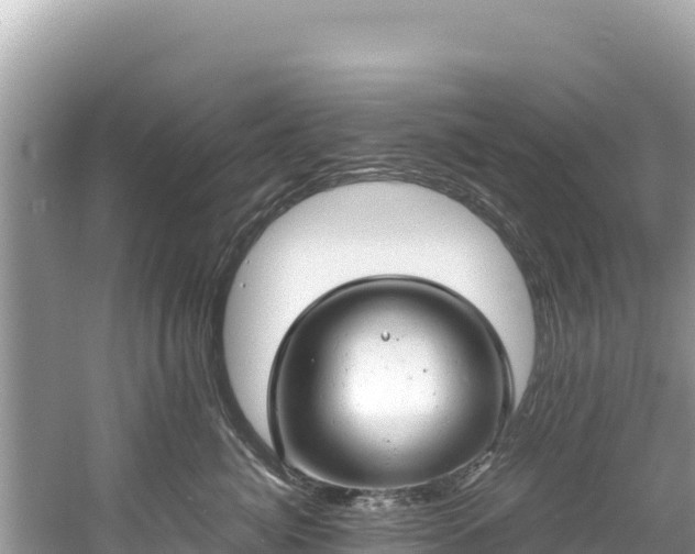 X0000061120764200511211000