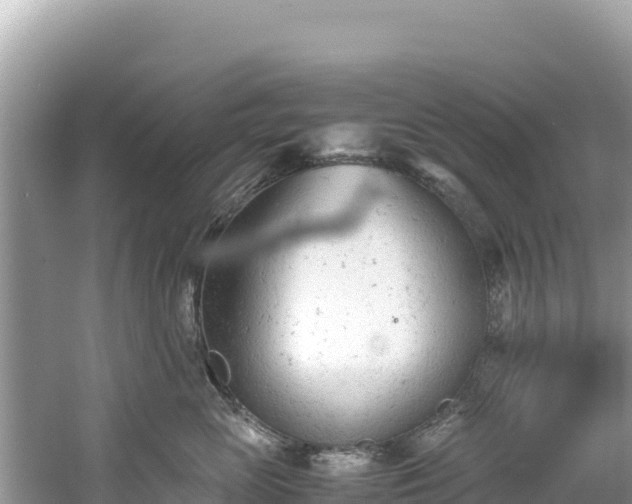 X0000061120765200511211000