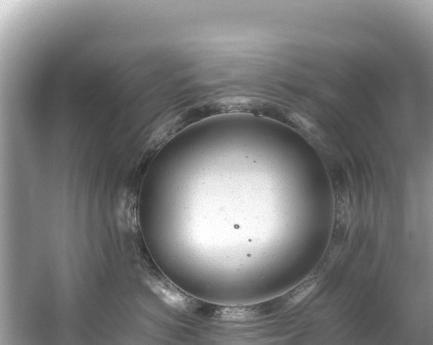 X0000061120766200511211000