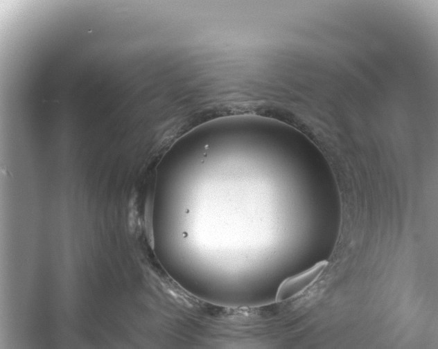 X0000061120768200511211000