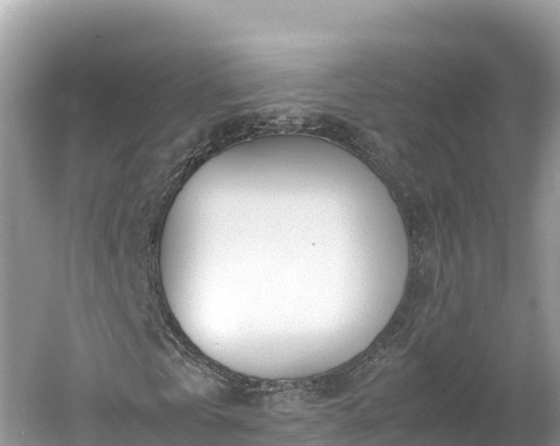 X0000061120769200511211000