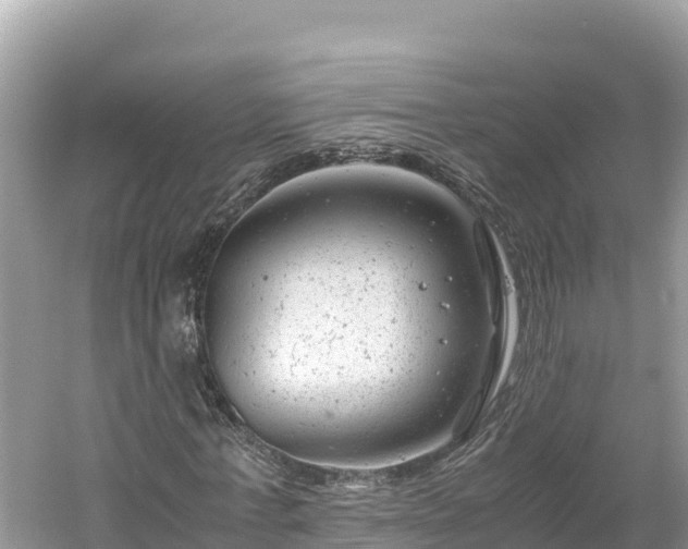 X0000061120771200511211000