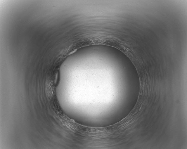 X0000061120772200511211000