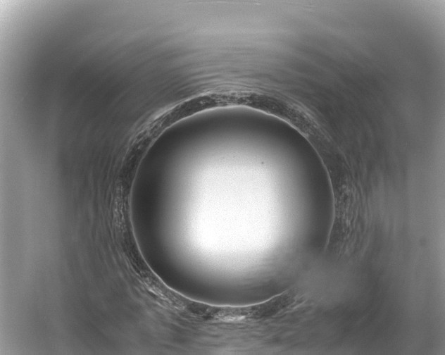 X0000061120773200511211000