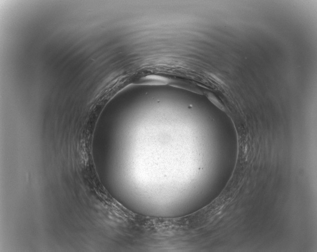 X0000061120774200511210959