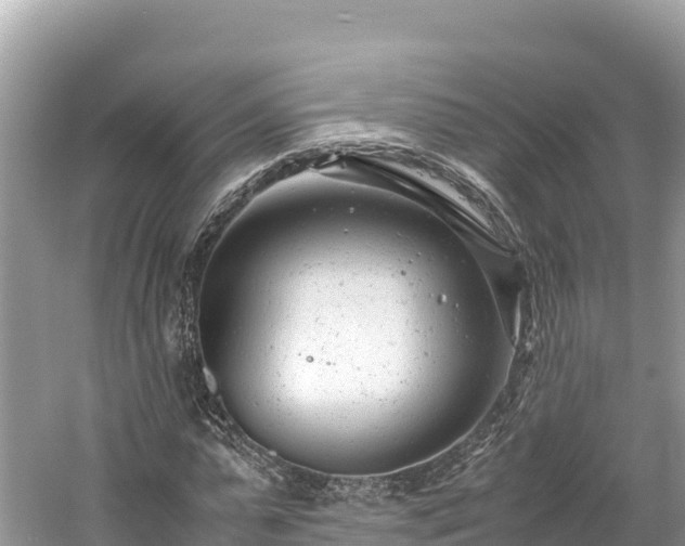 X0000061120775200511210959