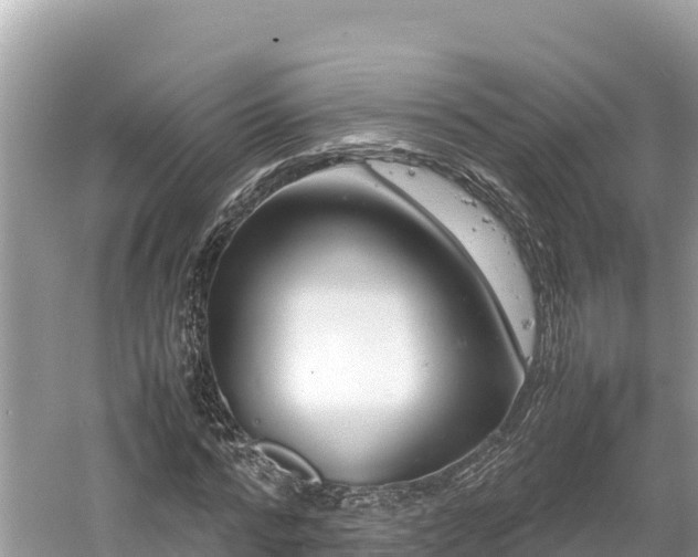 X0000061120776200511210959