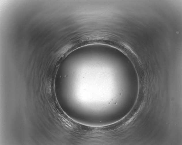 X0000061120777200511210959