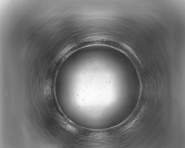 X0000061120778200511210959