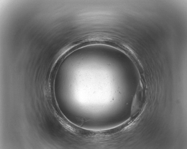 X0000061120779200511210959