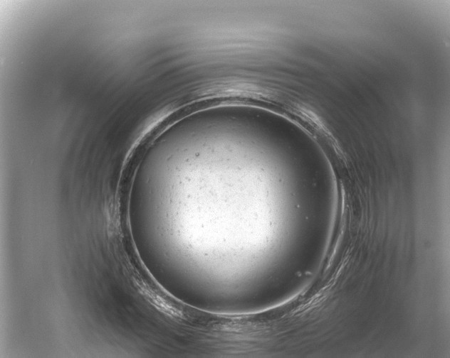 X0000061120780200511210959