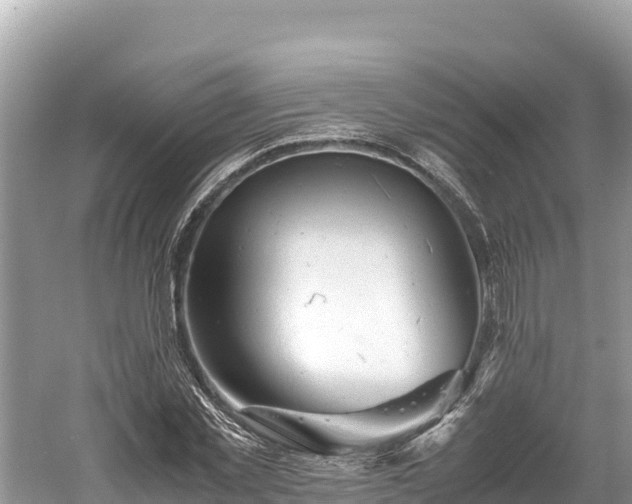 X0000061120781200511210959