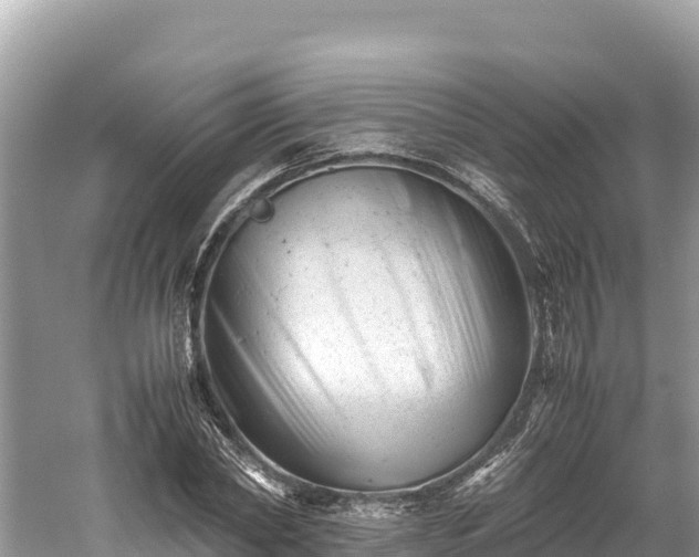 X0000061120782200511210959