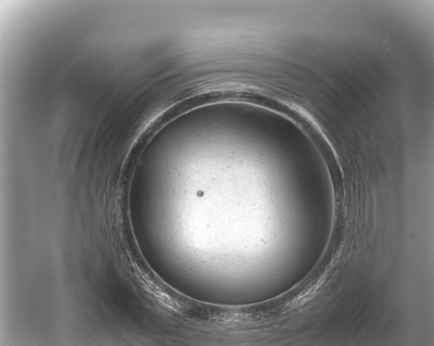 X0000061120783200511210959