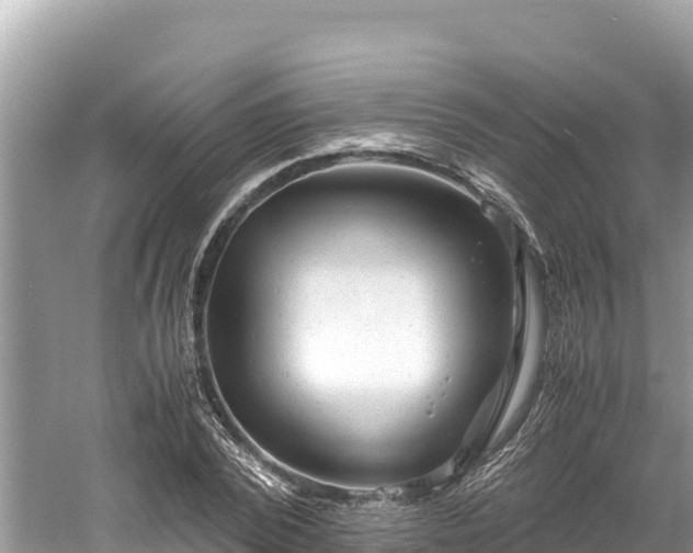 X0000061120784200511210959