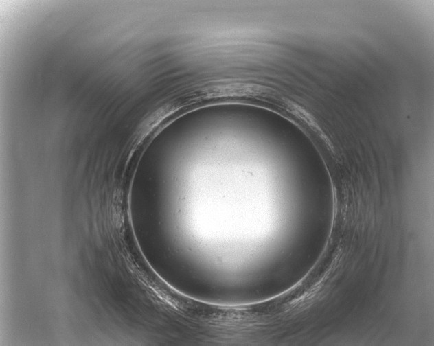 X0000061120786200511210959