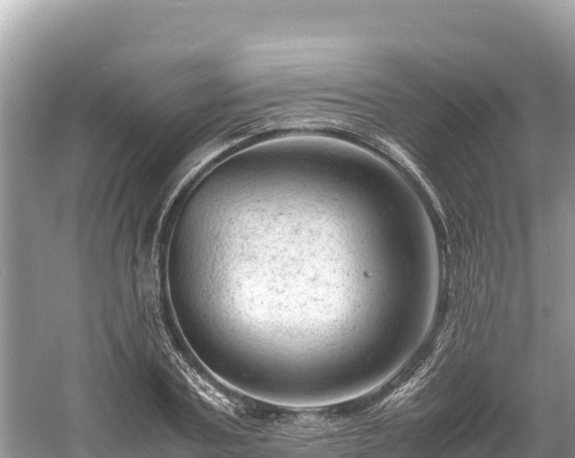 X0000061120787200511210959