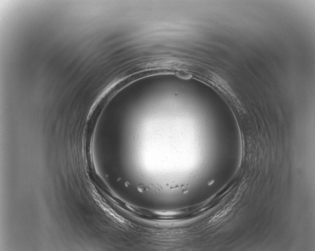 X0000061120788200511210959