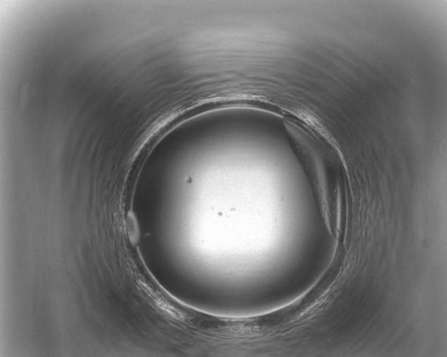 X0000061120789200511210959