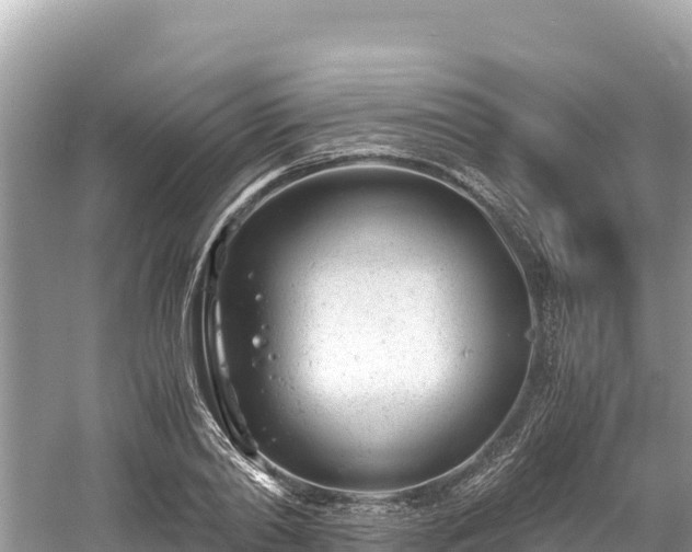 X0000061120790200511210959