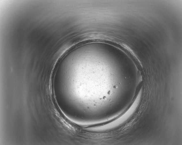 X0000061120791200511210959