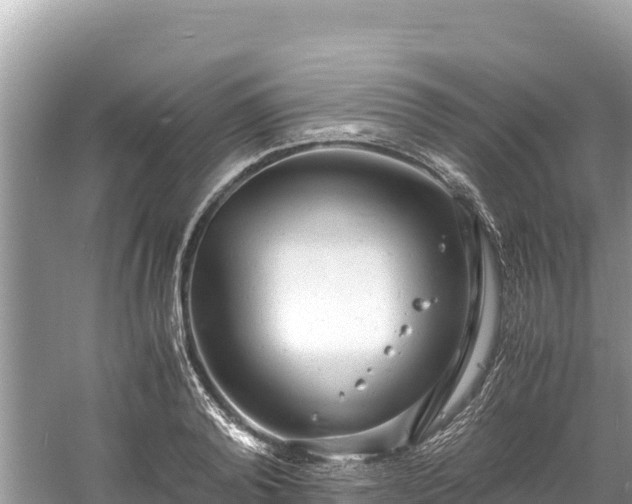 X0000061120792200511210959