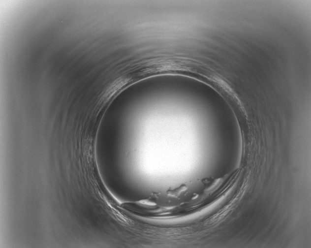 X0000061120793200511210959