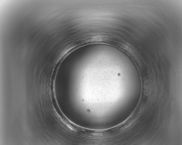 X0000061120794200511210959