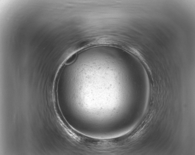 X0000061120795200511210959