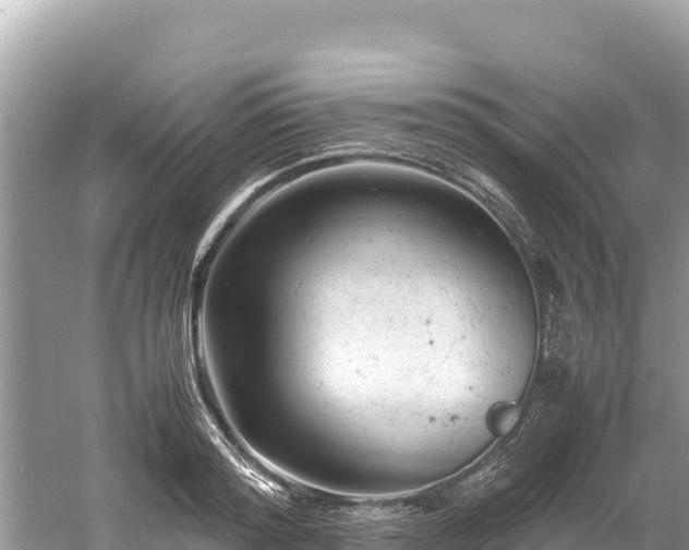 X0000061120796200511210959