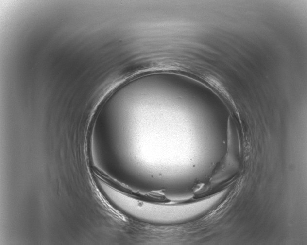 X0000061120797200511210959