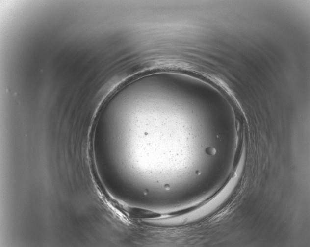 X0000061120799200511210959