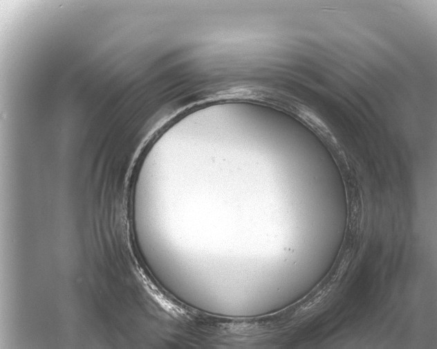 X0000061120800200511210959