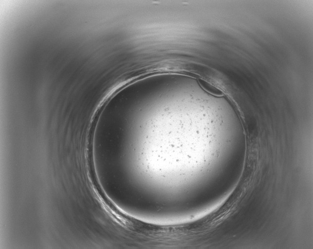 X0000061120803200511210959