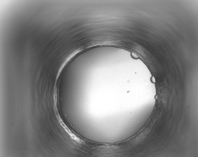 X0000061120804200511210959