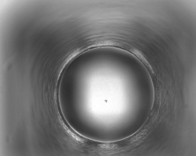 X0000061120805200511210959