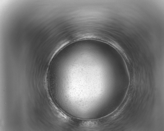 X0000061120806200511210959