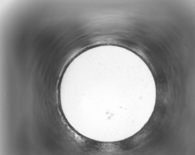 X0000061120807200511210959