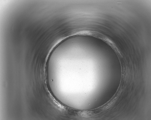 X0000061120808200511210959