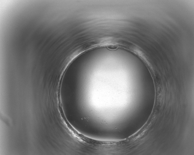 X0000061120810200511210959